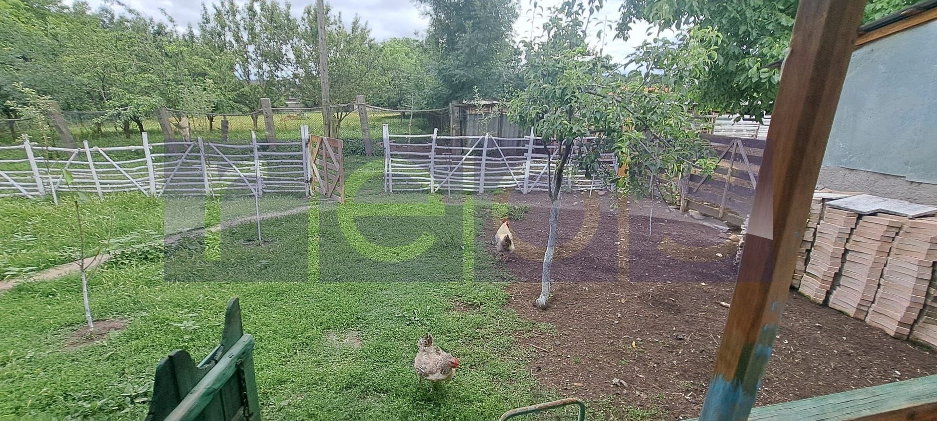 VANZARE CASA | TEREN 2.500 MP | LIVADA SI GRADINA | COMUNA BEUCA, TELEORMAN - Poză 6