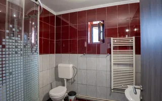 BOD-Colonie | Casa 5 camere | piscina exterioara | 160 mpu | 550 teren - Poză 18