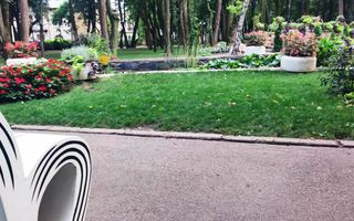 Apartament 1 camera Copou - Liceul Negruzzi - Poză 14