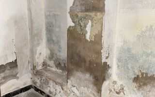 De Vanzare Vila Interbelica, 8-10 Camere, Romana - Zodiac - Poză 23