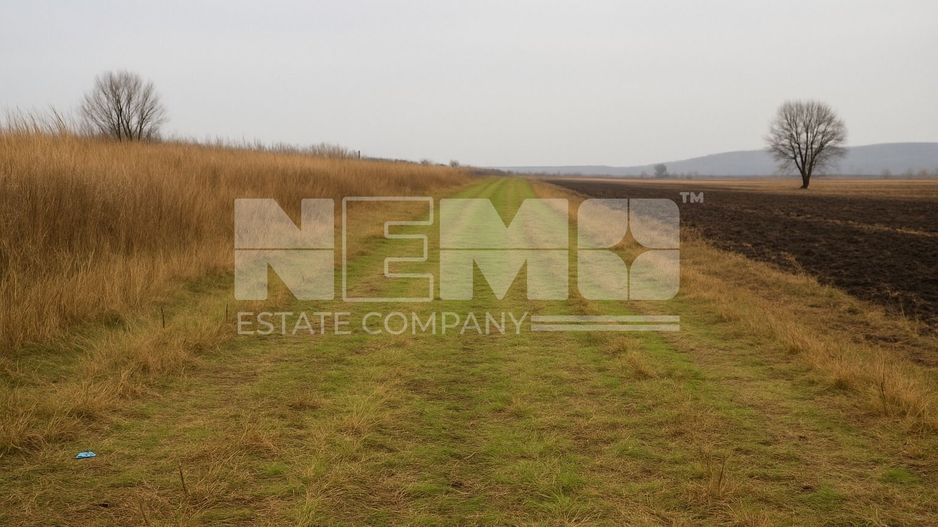 Teren agricol | de vânzare | 5000 mp² | comuna Satu Mare - Poză 5