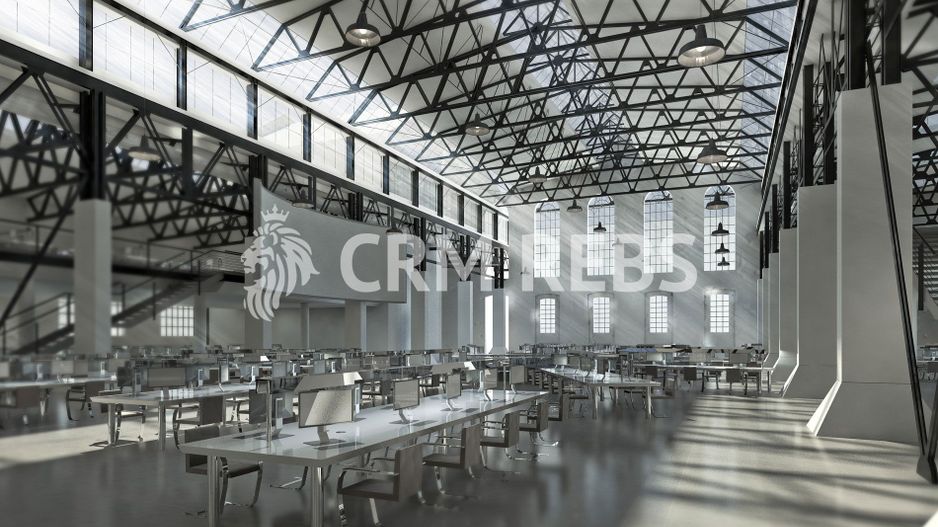 Hala 500 m de vanzare in Iris - Poză 5