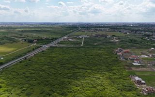 TERENURI PADUREA BISTRA - Poză 11