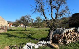 Teren intravilan Sinca Noua - Poză 1