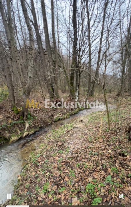 Teren intravilan 6.500 m²–Deschidere 144 ml drum european E81, km 35, Morăresti - Poză 3