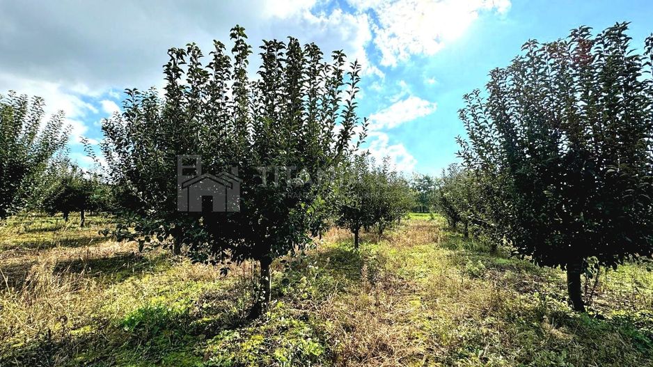 Livada+gradina, teren intravilan 2902mp, Damienesti-Bacau, comision 0 - Poză 6