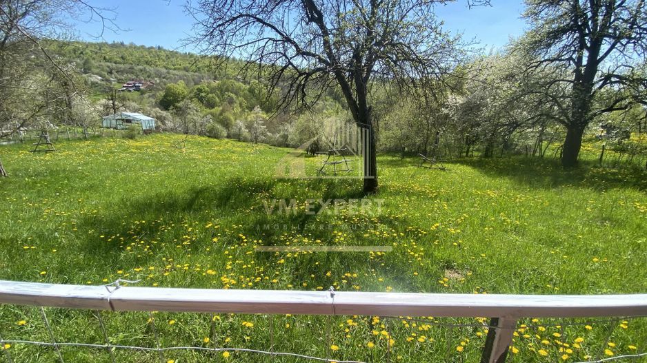 TEREN INTRAVILAN 3265 MP, VALEA MARE PRAVAT, ARGES - Poză 4