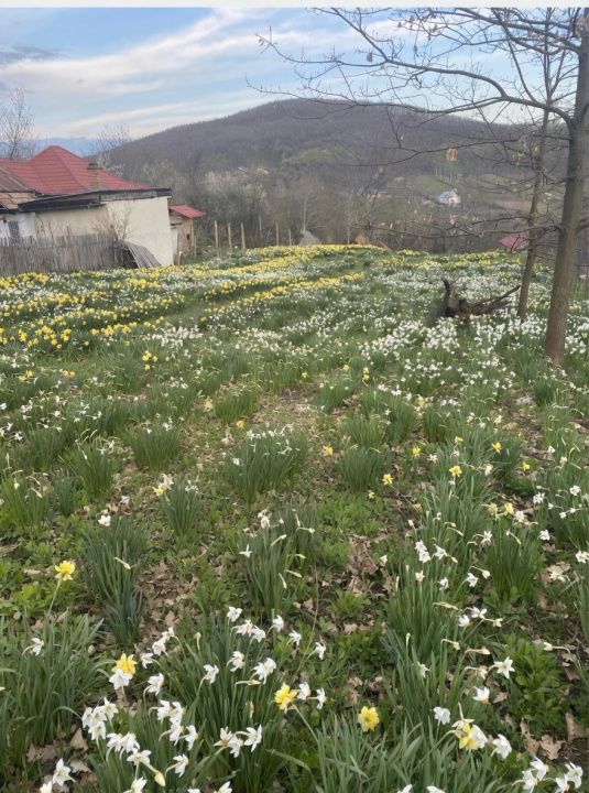 Casa de vanzare – Stefanesti Arges - Poză 17