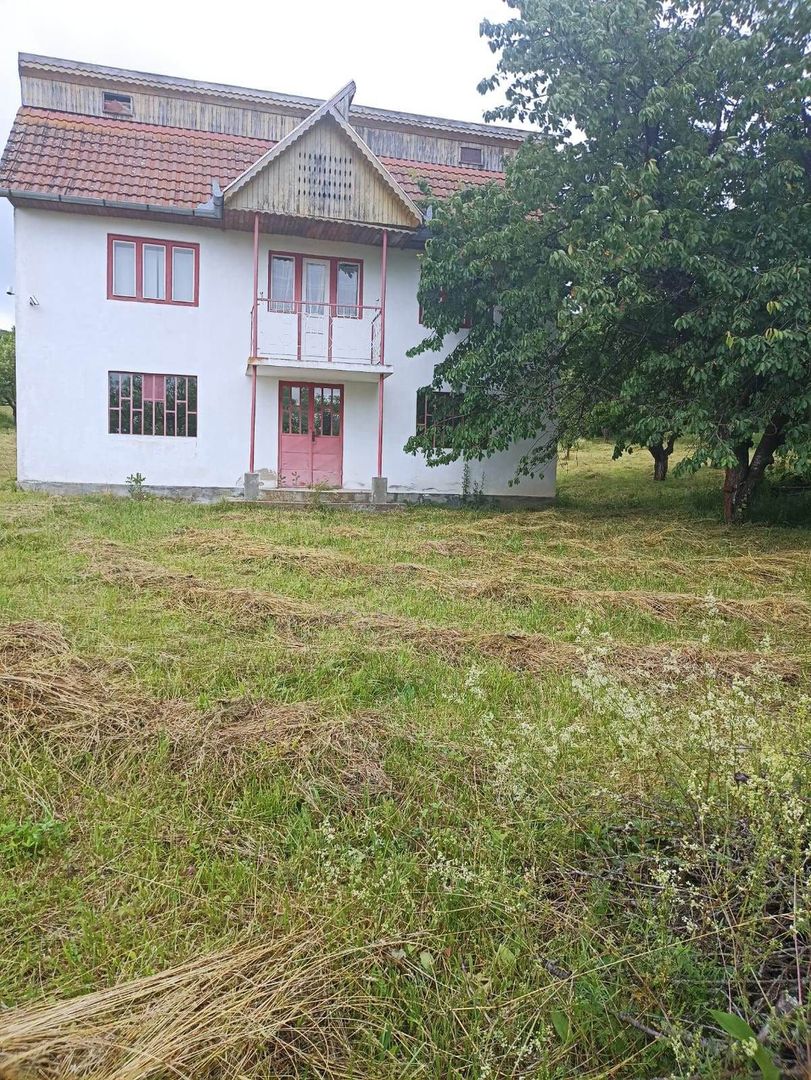 Tren si casa de vacanta in Panticeu - Poză 3