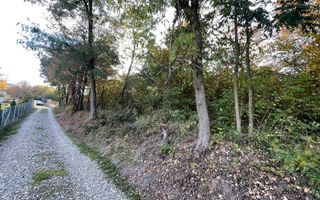 Teren Extravilan, Ciurila, Padurea Faget - Poză 1