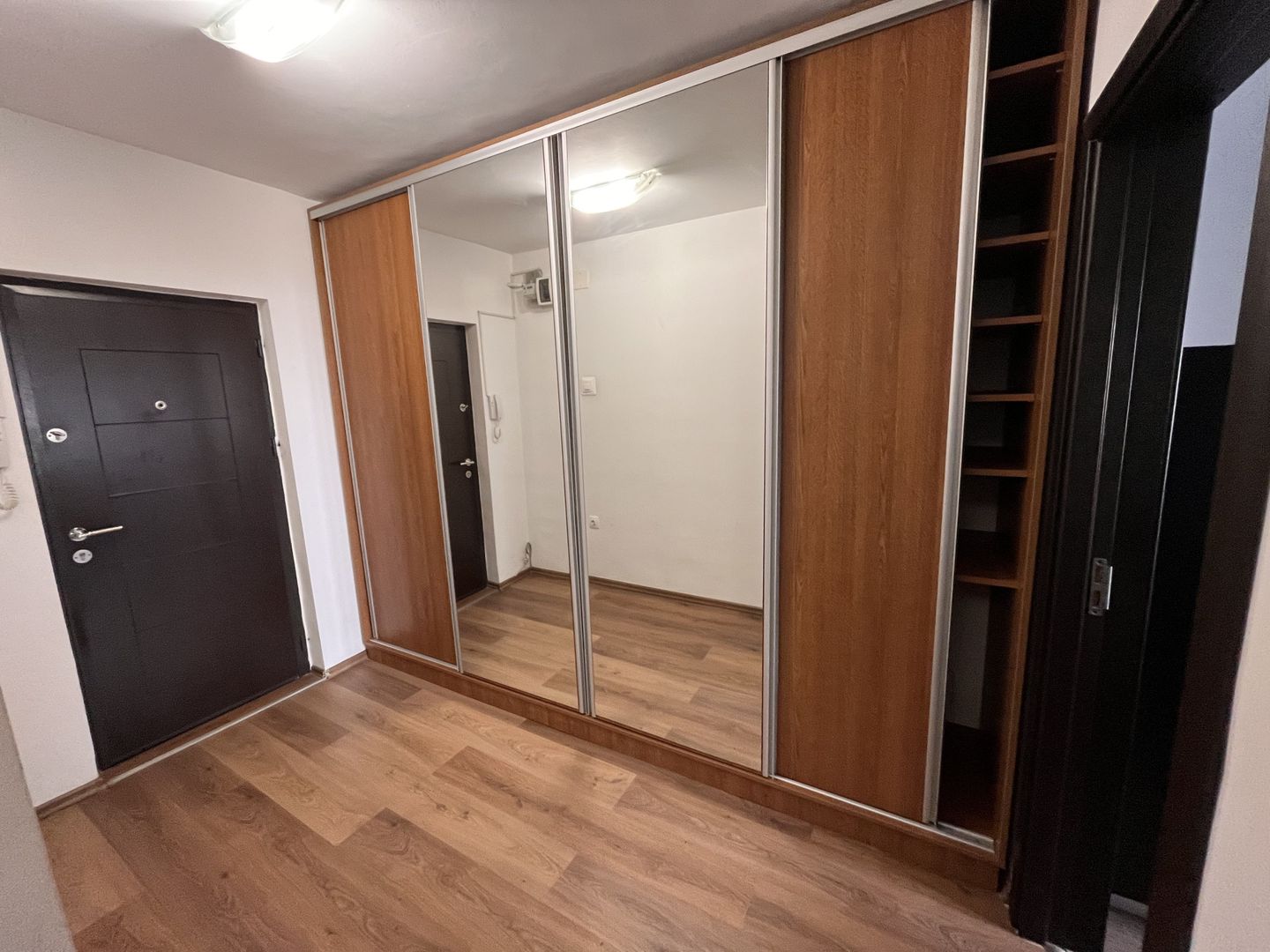 Apartament Victoriei | Banu Manta - Poză 7