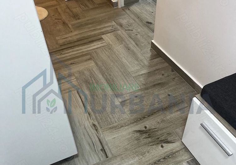 Apartament cu o cameră, 24 mp, Lunca Cetățuii, strada Eroilor - Poză 1
