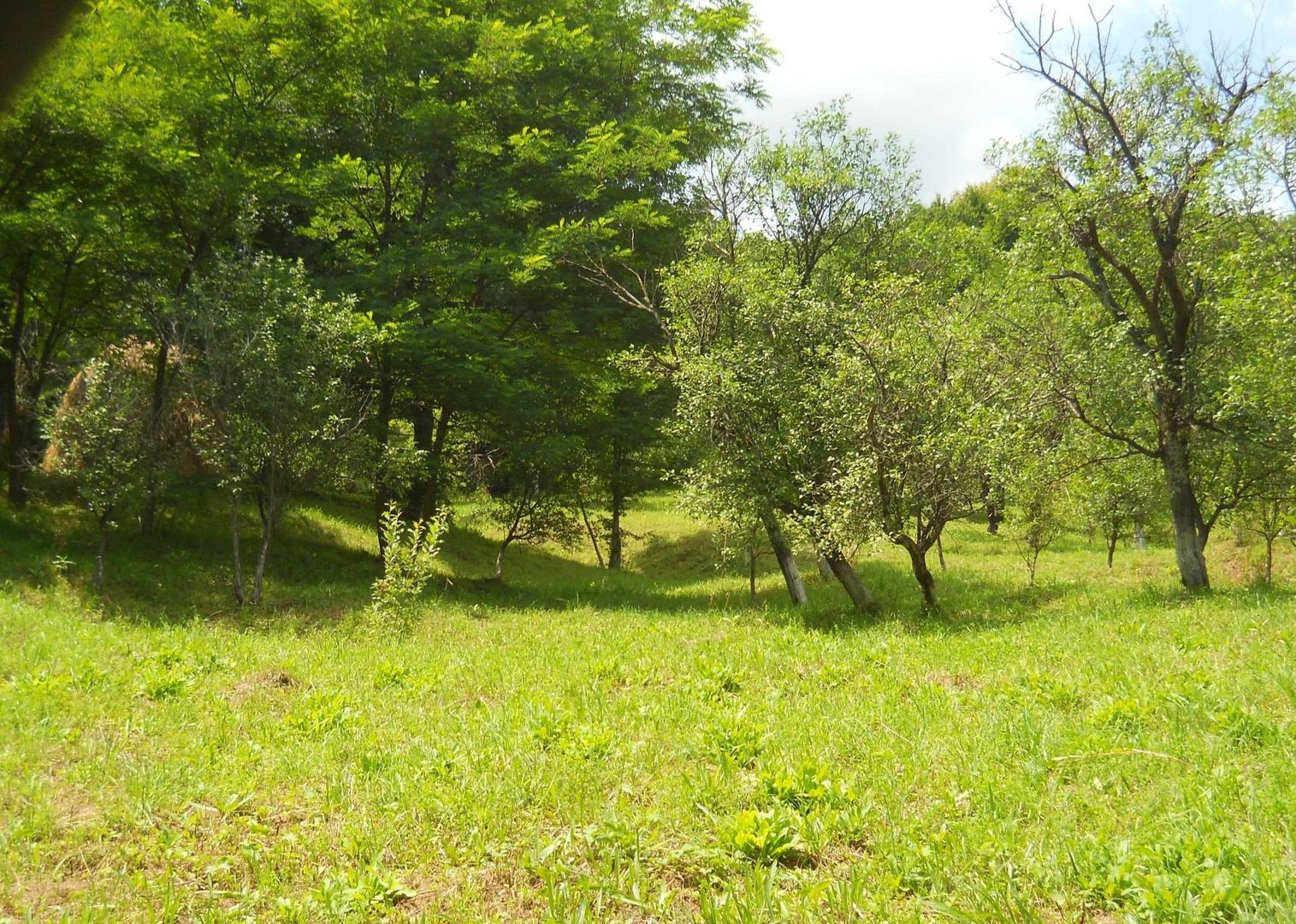 Teren Breaza de Jos, Prahova, Podu Vadului, 3750 mp (posibilitate si de 6000 mp) - Poză 4