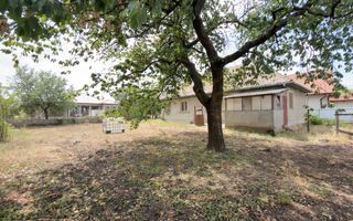 Casă 3 camere, Teren 1036 mp Front 22 m - Str. Florilor 46 - Carei - Poză 2