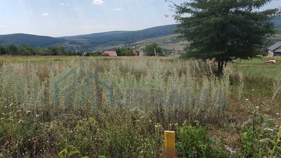 Teren intravilan construibil, 1.219 mp, zona Chicirea/Tomești, 25 euro/mp - Poză 4