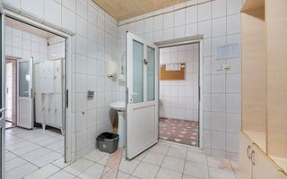 Spațiu de producție cu dotări complete: brutărie, patiserie și magazin - Poză 6