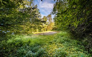 Domeniu în satul Căprioara - Poză 11