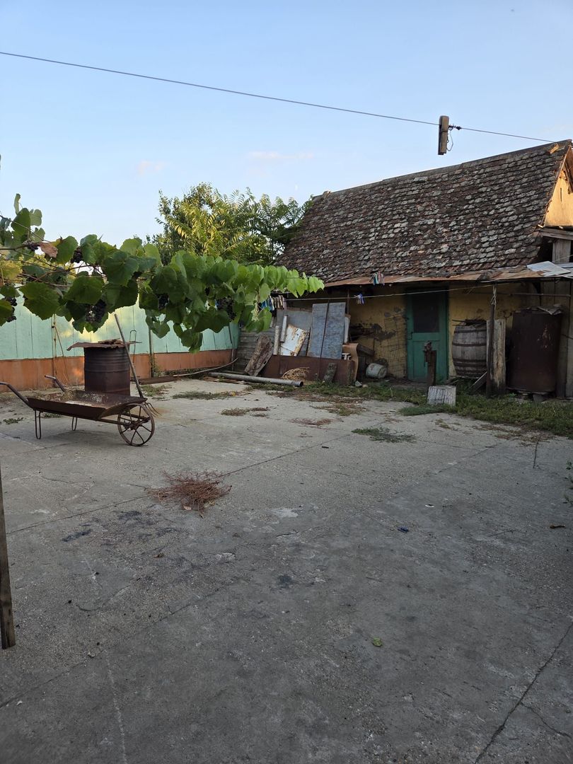 Casă și teren 2177 mp Ortisoara -28ml front-comision 0 - Poză 9