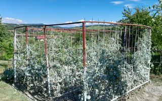 Casa individuala | 4 camere | Teren 2000 MP | Seica Mare - Poză 4