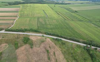 Teren de 3.600 mp Racova - Poză 6