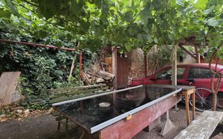 Apartament 1 camera I Gradina I Investitie I Zona Centrala - Poză 25