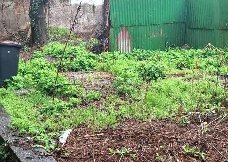 Sanctuar de Epocă: Reședință Grandioasă cu 10 Camere, Turn și Grădină - Poză 20