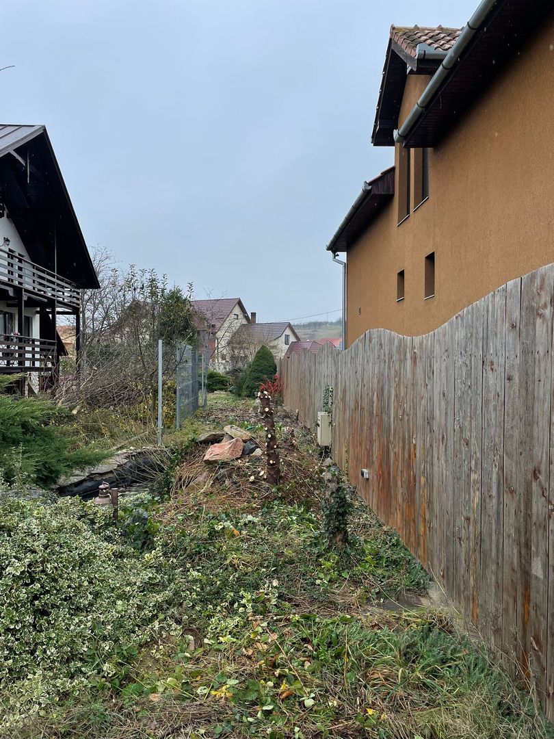 Casa Beius - Poză 17