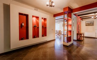 Domeniu în satul Căprioara - Poză 43