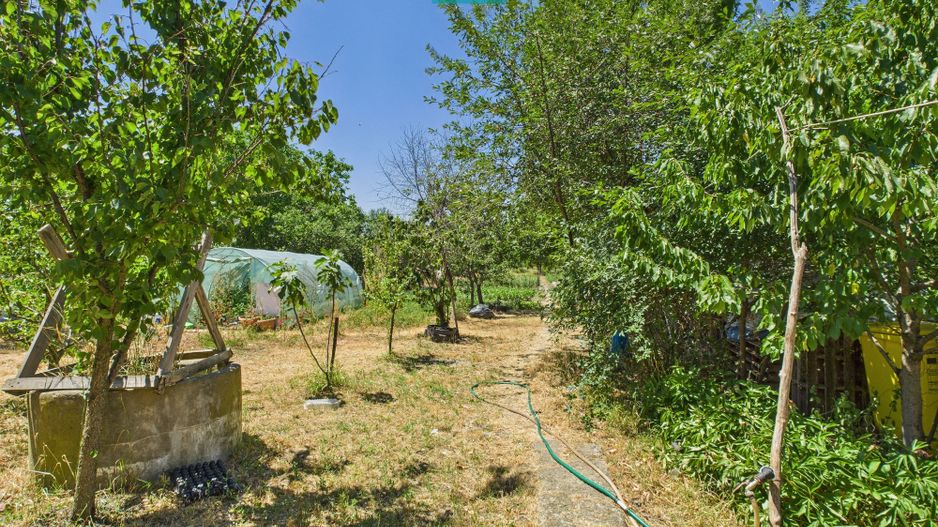 Casă cu 2 corpuri independente în Aradul Nou - Poză 23