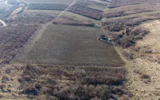 Vita-de-vie Premium  teren de 6800 mp în Covăsinț - Poză 12
