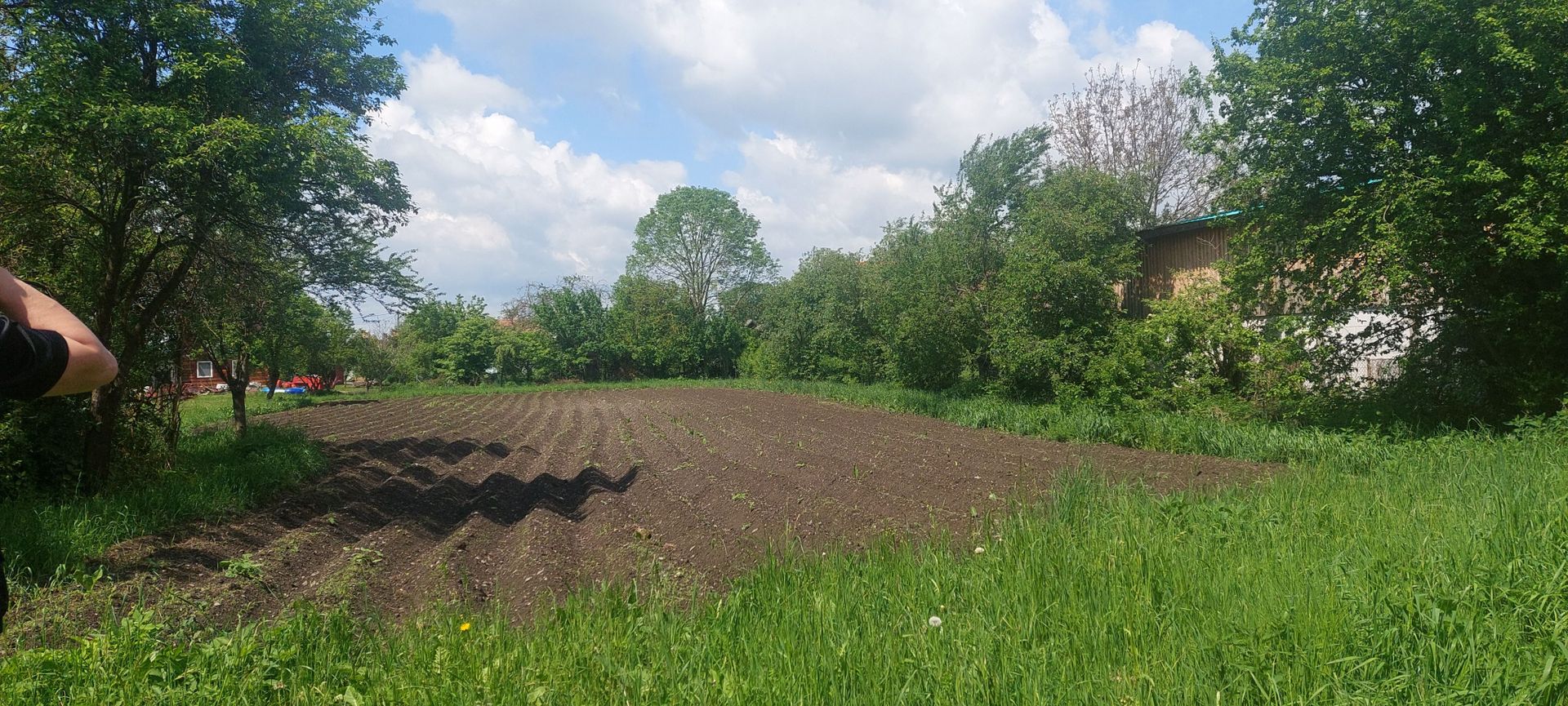 DE NERATAT-de vanzare teren intravilan, 2400 mp, Pachia, Covasna! - Poză 4