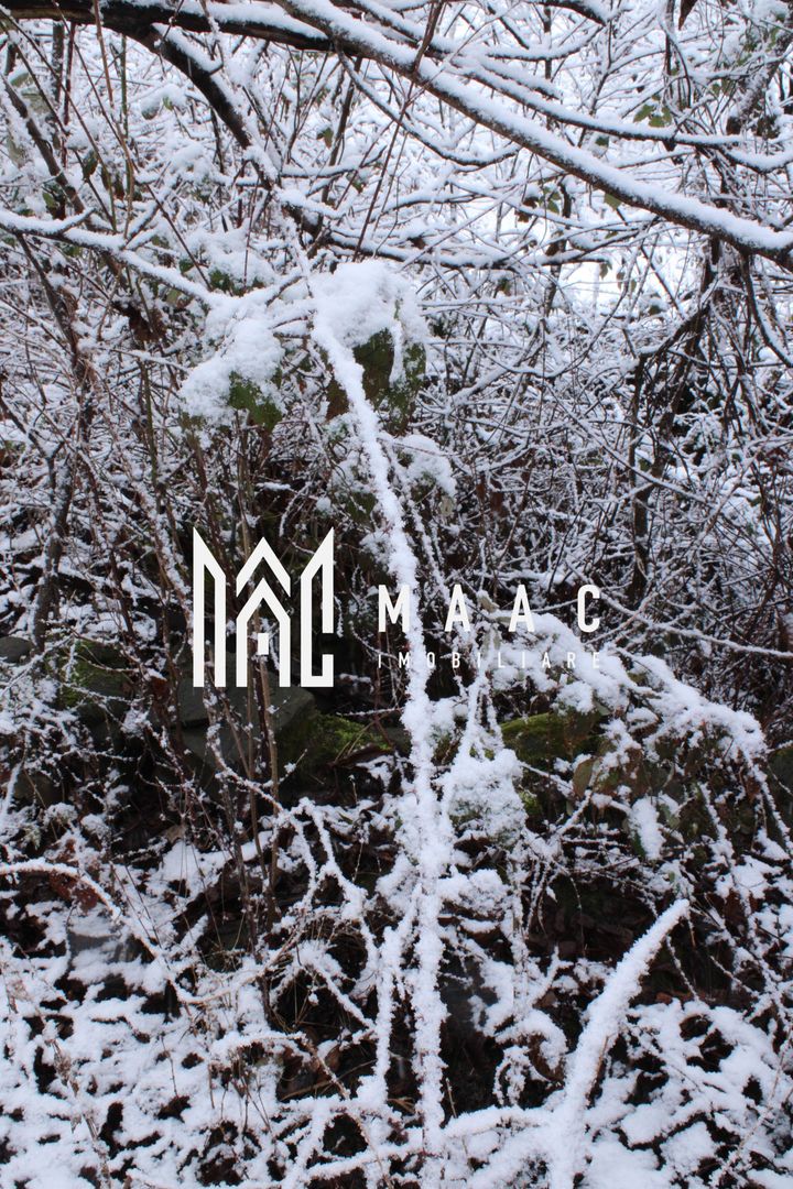 Teren cu izvor de apă minerală  Dangești, Punctul Valea Mare - Poză 24