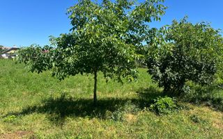 Casă de vânzare Zaharești/Suceava - Poză 12