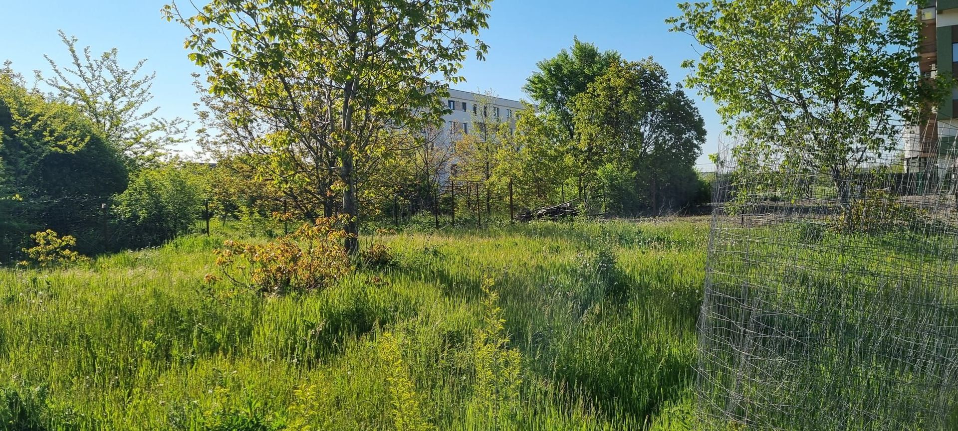 Teren  stradal dezvoltare imobiliara - Poză 6