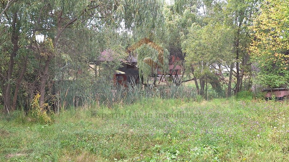 VANZARE ANSAMBLU CASUTE BRADULET ARGES - Poză 8