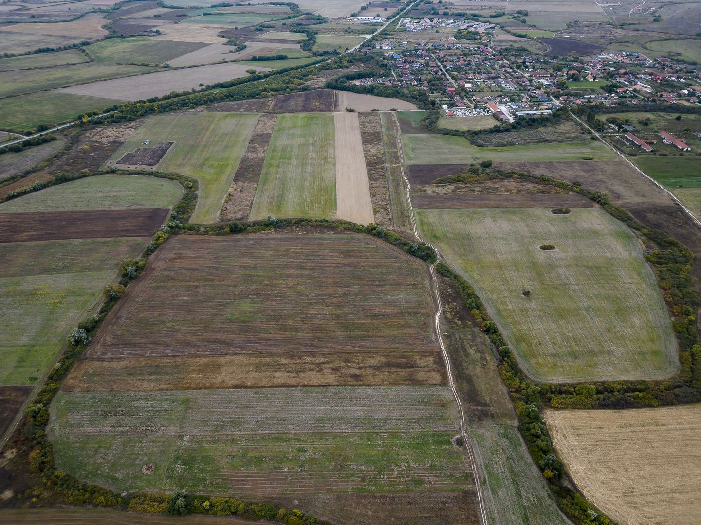 Teren agricol de 34.500mp în Albina, Județul Timiș - Poză 6