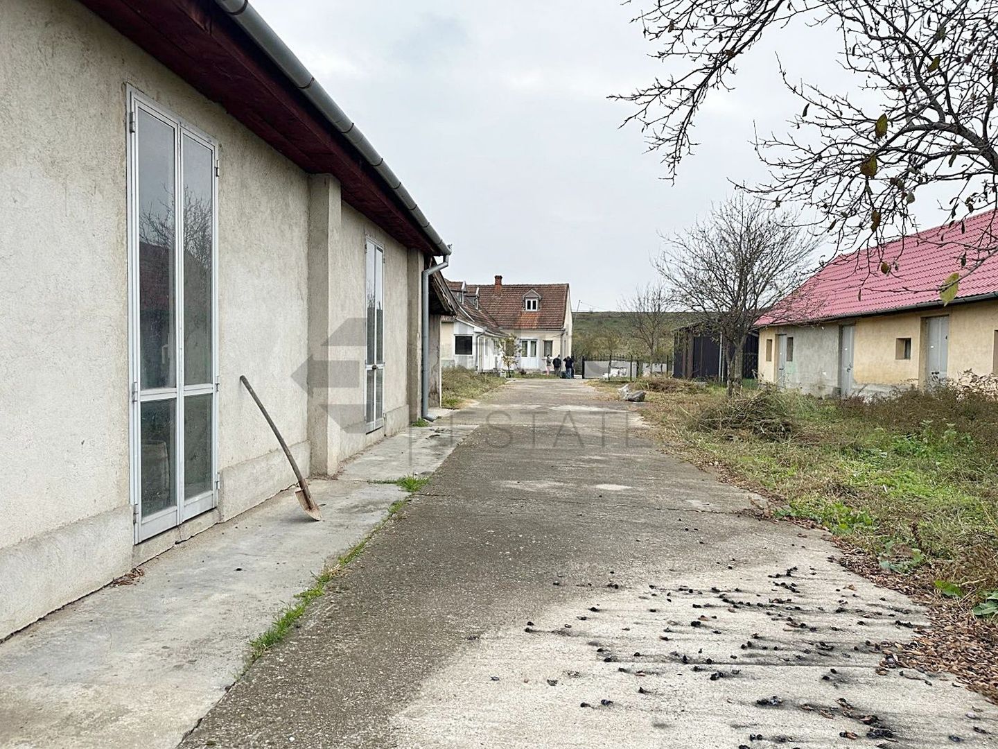 Casa cu 3 Hale si teren 8000 mp in Ulileacu de Cris, Bihor - Poză 15