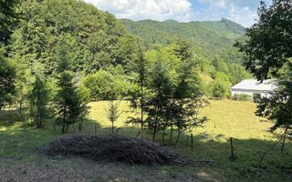 Teren extravilan de vânzare | 1402 mp | Blidari | zonă superbă - Poză 8