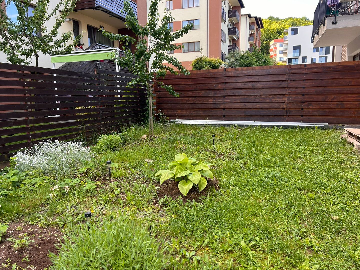 Apartament cu gradină in zona parcului Poligonului - Poză 8
