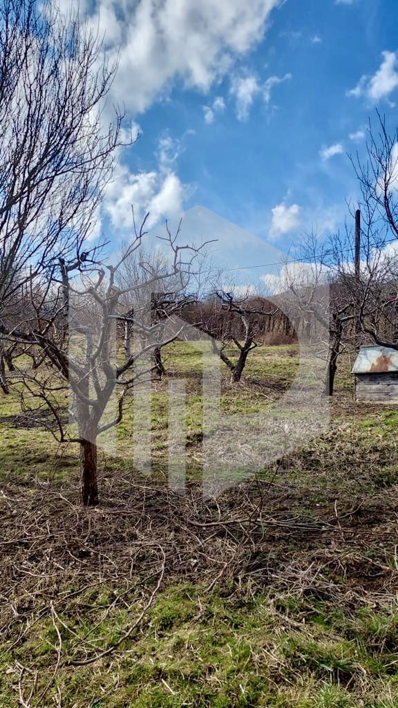 Teren cu livada+ casa de vanzare in Talmacel- 4000 mp - Poză 6
