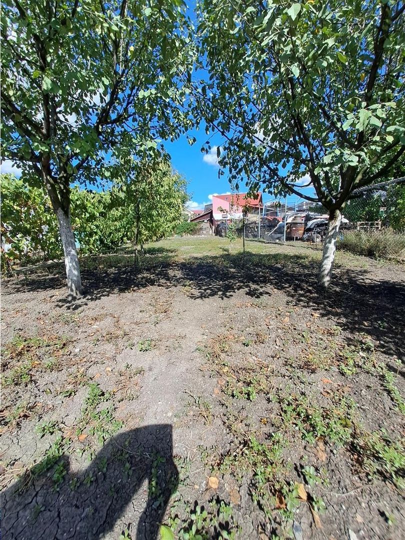 Casa individuala  Mehala aproape de Piata -Profi - Poză 4