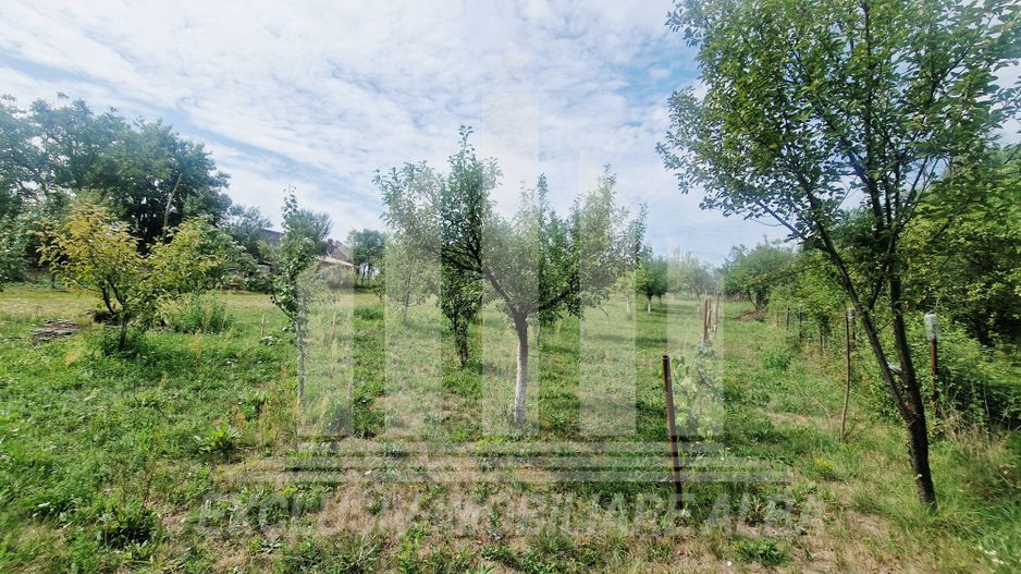 Casa noua cu gradina in Paclisa - Poză 11