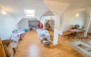 Palazu Mare / Elvila -  Vanzare Vila  D+P+1E cu teren de 996 mp - Poză 47