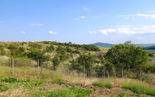 Teren extravilan parcelat Valea Budacului - Poză 3