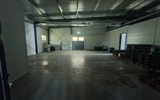 Spațiu comercial, producere+plantație de aronie, Timiș - Poză 5