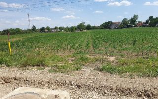 Teren intravilan 1.000 mp | Moara Vlăsiei | Strada Berzei - Poză 3
