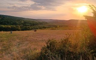 Teren de vanzare | Hidiselul de Sus | Bihor - Poză 6