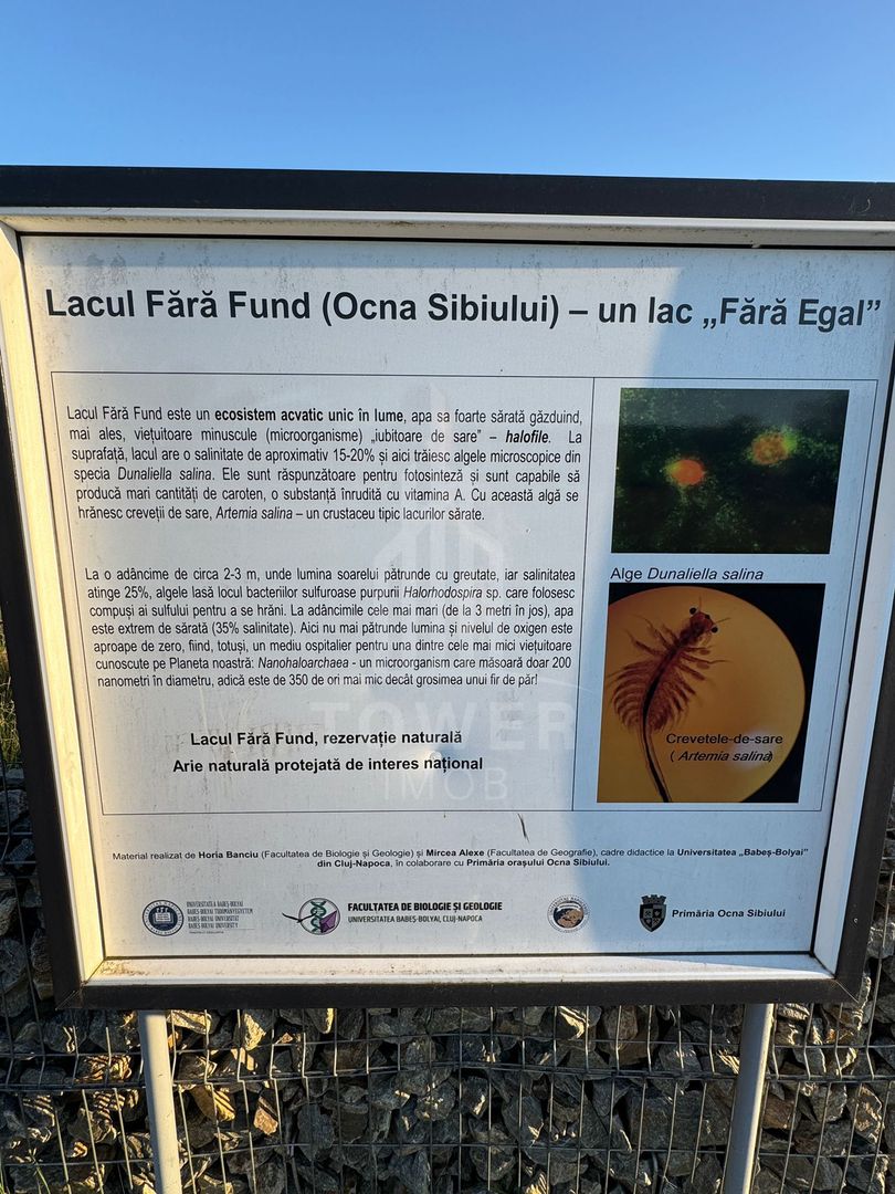 OPORTUNITATE la Ocna Sibiului - Teren Casă/Cabană lângă Lacul Fără Fund - Poză 6