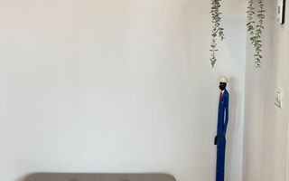 Închiriere apartament 2 camere in bloc boutique Dacia- gradina Icoane - Poză 4