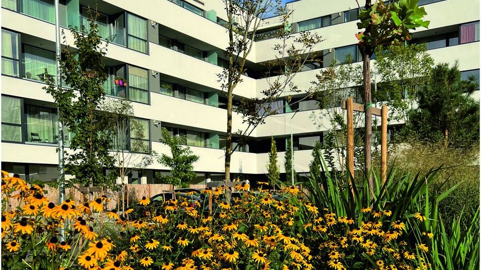 Apartament 2 camere | Gradina |  Faza 3 - Poză 7